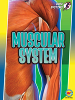 Muscular System 1489699260 Book Cover