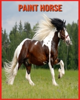 Paint Horse: Informations Amusantes et Photos Etonnantes d’Animaux dans la Nature B08WJPL551 Book Cover