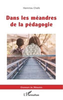 Dans les méandres de la pédagogie (Graveurs de Mémoire) (French Edition) 2343236135 Book Cover