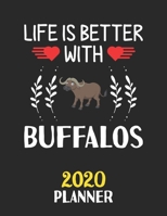 Life Is Better With Buffalos 2020 Planner: Weekly Monthly 2020 Planner For People Who Loves Buffalos 8.5x11 67 Pages 1677430214 Book Cover
