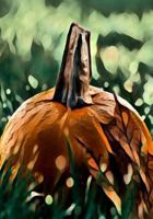 Halloween Activity Book 1723990744 Book Cover