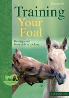 Training Your Foal: Raising a Foal From Birth to Backing 0857880020 Book Cover