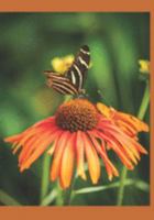 Intentional Gratitude: 52 Ways to Celebrate the Blessings in Your Life 1087496543 Book Cover