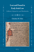 Lost and Found in Early Irish Law Aidbred, Heptad 64, and Muirbretha 9004512845 Book Cover