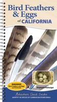Bird Feathers & Eggs of California: Identify 40 Species of Common Backyard Birds 1647556635 Book Cover