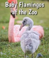 Baby Flamingos at the Zoo 0766075656 Book Cover