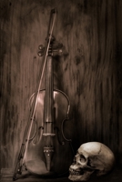 Our Savage Melody: A Poetry Collection B08CGCZV2B Book Cover