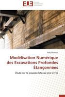 Mod?lisation Num?rique des Excavations Profondes ?tan?onn?es 384179288X Book Cover