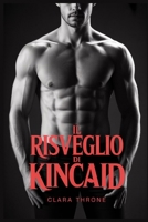 IL RISVEGLIO DI KINCAID: Un romanzo dark mm mafioso mpreg non shifter omegaverse (Italian Edition) B0FKSVB5JJ Book Cover