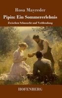 Pipin: Ein Sommererlebnis: Zwischen Sehnsucht und Verblendung (German Edition) 3743751151 Book Cover