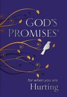 Promesas de Dios Para Tiempos Difíciles / God's Promises When You Are Hurting 0718034171 Book Cover