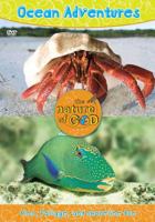 Ocean Adventures, Volume 2: Fins, Foliage, and Shoreline Fun 0310328233 Book Cover