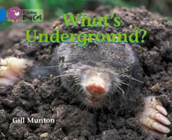 What's Underground? 0007475926 Book Cover