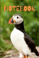 Puffin Notebook 1471622304 Book Cover