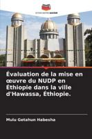 Évaluation de la mise en œuvre du NUDP en Éthiopie dans la ville d'Hawassa, Éthiopie. (French Edition) 6208751241 Book Cover