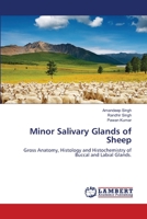 Minor Salivary Glands of Sheep: Gross Anatomy, Histology and Histochemistry of Buccal and Labial Glands. 3659150479 Book Cover