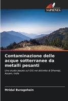 Contaminazione delle acque sotterranee da metalli pesanti (Italian Edition) 6209656587 Book Cover