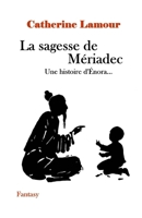 La sagesse de Mériadec: Une histoire d'Énora... (Histoires d'Énora) (French Edition) 2491265362 Book Cover