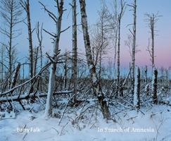 In Search of Amnesia: Jewish Narrative in Poland and Ukraine 3969001846 Book Cover