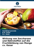 Wirkung von Saccharose und Nährstoffen auf die Fruchtbildung von Mango cv. Kesar (German Edition) 6208392683 Book Cover