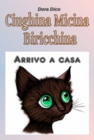 Ciughina Micina Biricchina: Arrivo a Casa B0BSJLS6CL Book Cover