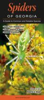 Spiders of Georgia: A Guide to Common & Notable Species 1943334595 Book Cover