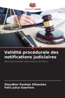 Validité procédurale des notifications judiciaires 6209119492 Book Cover