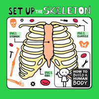 Set Up the Skeleton 197851929X Book Cover