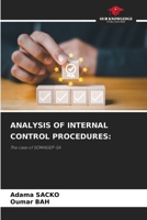 Analysis of Internal Control Procedures 6208347386 Book Cover