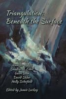 Triangulation: Beneath the Surface 0982860684 Book Cover