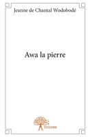 Awa la pierre (French Edition) 2332888012 Book Cover