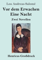 Vor dem Erwachen / Eine Nacht (Großdruck): Zwei Novellen (German Edition) 3847858920 Book Cover