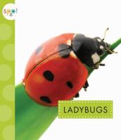 Ladybugs 1681511096 Book Cover
