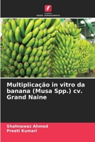 Multiplicação in vitro da banana (Musa Spp.) cv. Grand Naine 6200693501 Book Cover