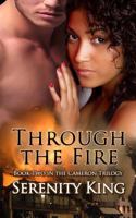 Through the Fire 1719975841 Book Cover