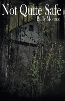 Not Quite Safe B0CC4DQ77R Book Cover
