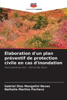 Élaboration d'un plan préventif de protection civile en cas d'inondation (French Edition) 6207904729 Book Cover