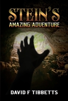 Stein's Amazing Adventure B0CQT8FSDN Book Cover