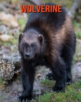 Wolverine: Learn About Wolverine and Enjoy Colorful Pictures B08MHRNN3Y Book Cover