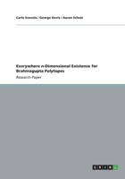 Everywhere N-Dimensional Existence for Brahmagupta Polytopes 365641159X Book Cover
