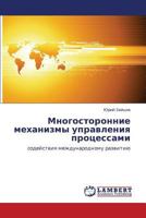 Mnogostoronnie mekhanizmy upravleniya protsessami: sodeystviya mezhdunarodnomu razvitiyu 3848448076 Book Cover