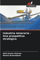 Indústria Mineira - Uma Perspectiva Estratégica 620586813X Book Cover