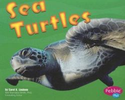 Sea Turtles 0736826017 Book Cover