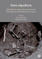 Sans Sepulture: Modalites Et Enjeux de la Privation de Funerailles de la Prehistoire a Nos Jours 1803274263 Book Cover