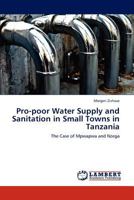 Pro-Poor Water Supply and Sanitation in Small Towns in Tanzania 3848448041 Book Cover