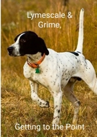 Lymescale & Grime, Getting to the Point: Lymescale & Grime Book 6 1300869739 Book Cover