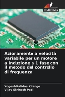 Azionamento a velocità variabile per un motore a induzione a 1 fase con il metodo del controllo di frequenza 6206850994 Book Cover