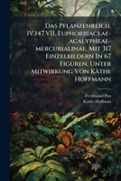 Euphorbiaceae-acalypheae-mercurialinae, Mit 317 Einzelbildern In 67 Figuren, Unter Mitwirkung Von Käthe Hoffmann 1246241005 Book Cover