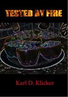 Tested by Fire: Recipes for Leaders, with Metaphors on the Grill 0985633522 Book Cover