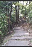 DARKNESS FALLS: A Warren Wedgett Story B099C8S32L Book Cover